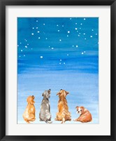 Framed Four Dogs Star Gazing