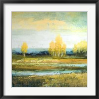 Marsh Lands I Framed Print