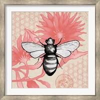 Framed Bee on Pink Flower Square