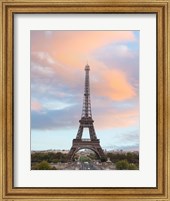 Framed Spring Days in Paris