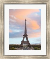 Framed Spring Days in Paris