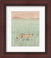 Framed Cheetah in the Wild