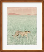Framed Cheetah in the Wild