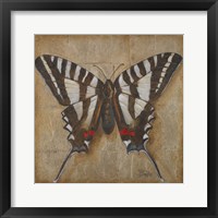 Framed 'Butterfly I' border=