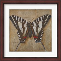 Framed 'Butterfly I' border=