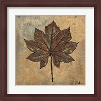 Framed Maple III