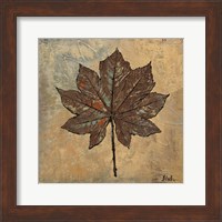 Framed Maple III