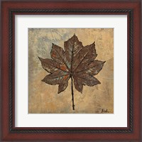 Framed Maple III