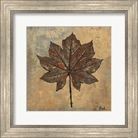 Framed Maple III