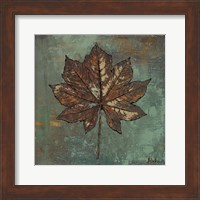 Framed Maple IV