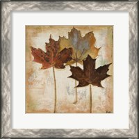 Framed Natural Leaves III