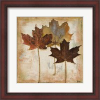 Framed Natural Leaves III