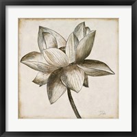 Framed Sepia Lotus I