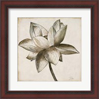 Framed Sepia Lotus I