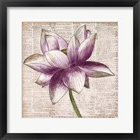 Framed Defined Lotus I