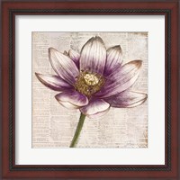 Framed 'Defined Lotus II' border=