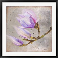 Framed Magnolia on Silver Leaf I