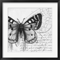 Framed 'Butterfly Studies I' border=
