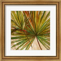 Framed 'New Palmera Take Two I' border=