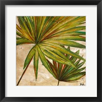 New Palmera Take Two II Framed Print