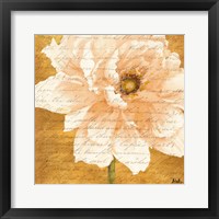 Beautiful Cream Peonies Script II Framed Print