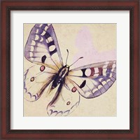 Framed Lavender Butterfly on Cream