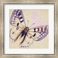 Framed Lavender Butterfly on Cream