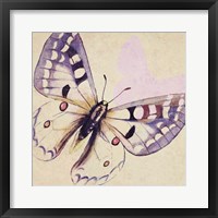 Framed Lavender Butterfly on Cream