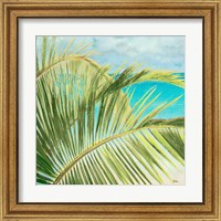 Framed 'Bright Coconut Palm I' border=