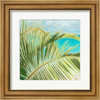 Framed Bright Coconut Palm I
