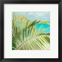 Framed 'Bright Coconut Palm I' border=