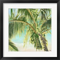 Framed 'Bright Coconut Palm II' border=