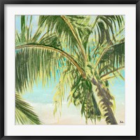 Framed Bright Coconut Palm II