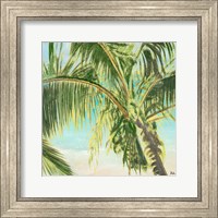 Framed Bright Coconut Palm II