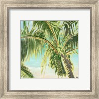 Framed 'Bright Coconut Palm II' border=