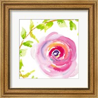 Framed 'Delicate Rose I' border=