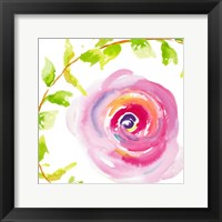 Delicate Rose I Framed Print