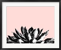 Framed Agave on Blush