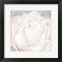 Framed White Grey Flower II