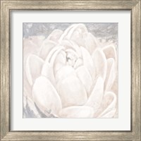 Framed 'White Grey Flower II' border=