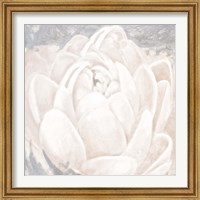 Framed 'White Grey Flower II' border=