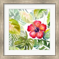 Framed Hibiscus on Selva