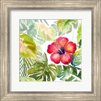 Framed Hibiscus on Selva