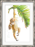 Framed Monkeys in the Jungle I