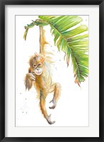 Framed Monkeys in the Jungle I