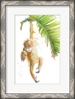 Framed Monkeys in the Jungle I