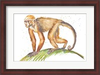 Framed Monkeys in the Jungle II