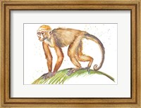 Framed Monkeys in the Jungle II