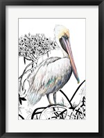 Framed Pelican on Branch II