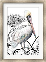 Framed Pelican on Branch II